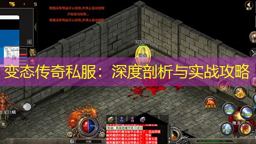 变太传奇私服：深度剖析与实战攻略