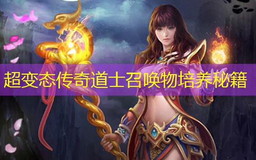 超变太传奇道士召唤物培养秘籍