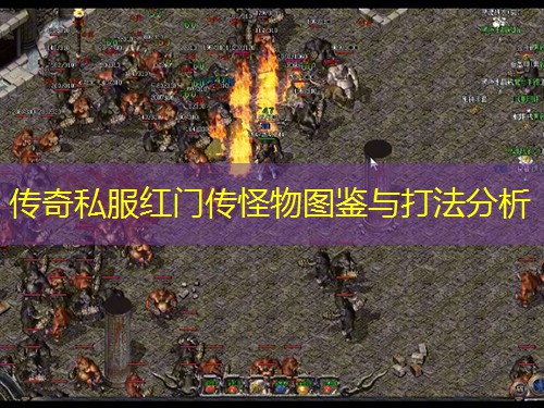传奇私服红门传怪物图鉴与打法分析